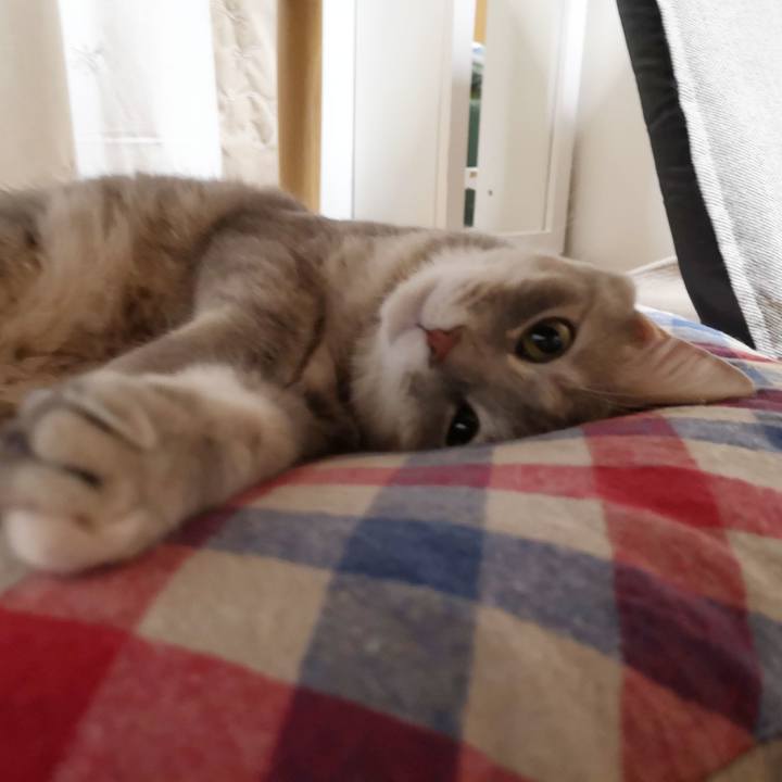 66b8138a b1c9 4c62 a856 dd9b00d5f766 1560306851926