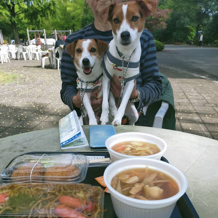 66b83564 144f 40a3 b7b8 0a056239ba0b 1761554706426