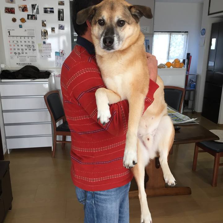 66b83858 9e32 4553 95f3 8589b03cc19e 1548805614615