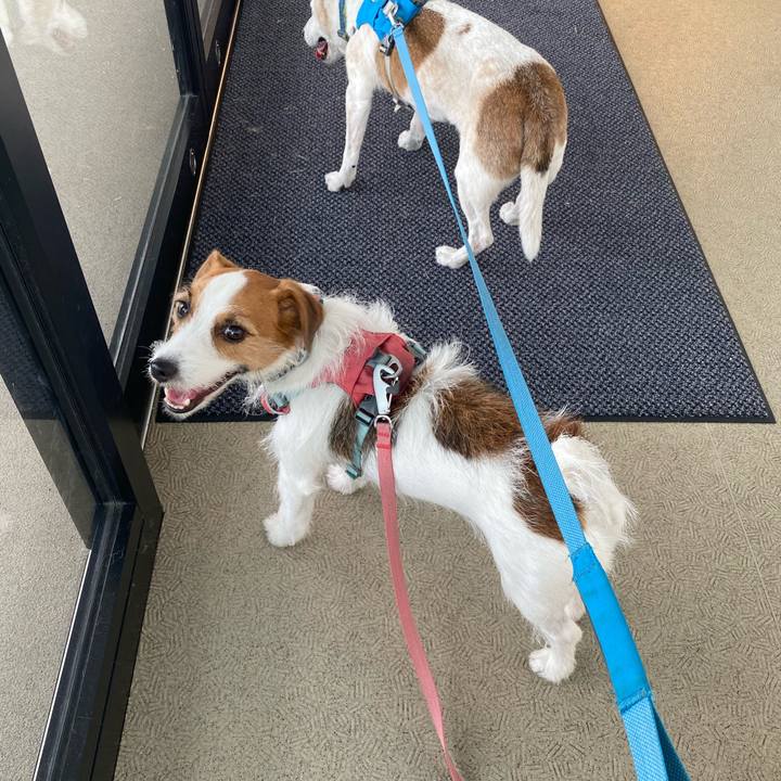 66b86e97 0168 44d6 99db 4a57502781d6 1726918055247