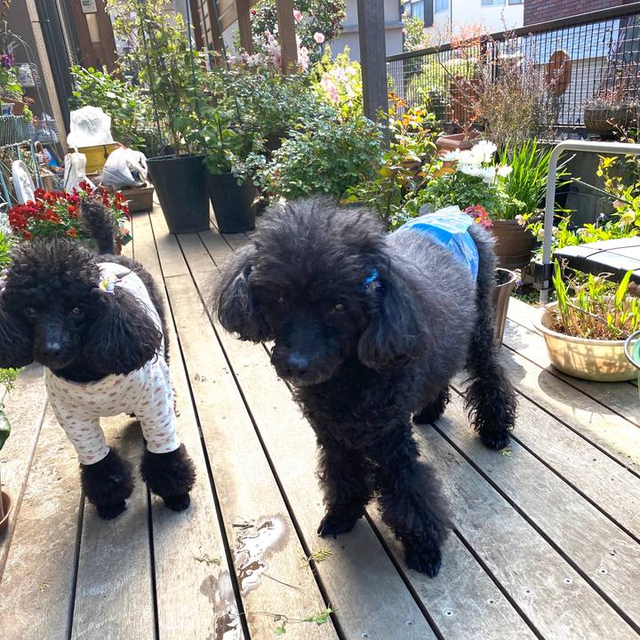 66b8d0fb 0dc0 422f be06 0935ec000f04 1585962877502