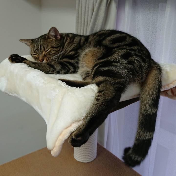 66b8fa20 9748 4136 b0a9 672a9d8fef83 1536217337269