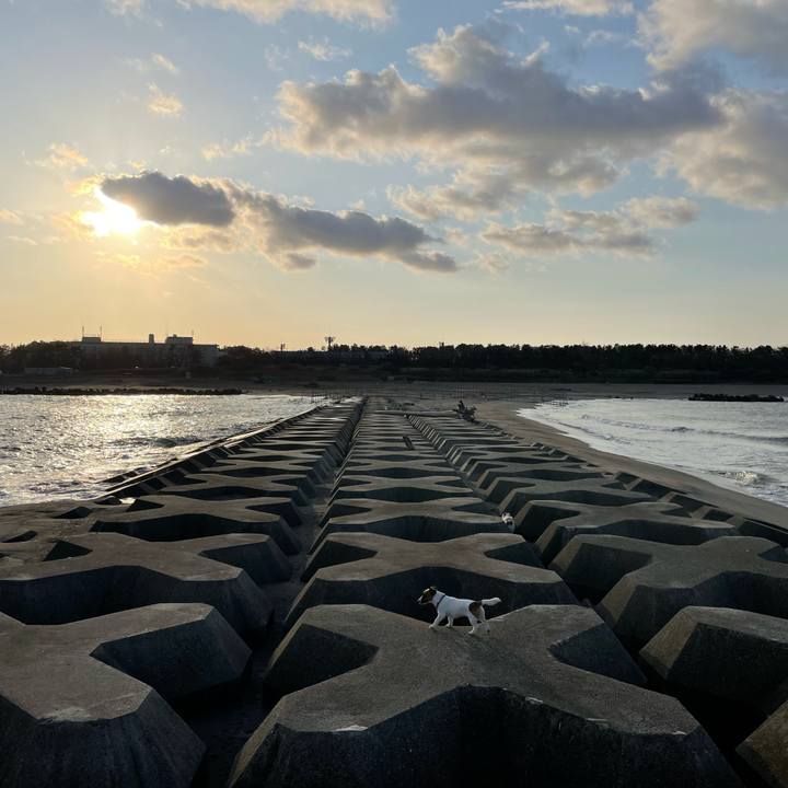 66b90dbb 0c29 4754 86eb 4c4392b8940f 1637366126366