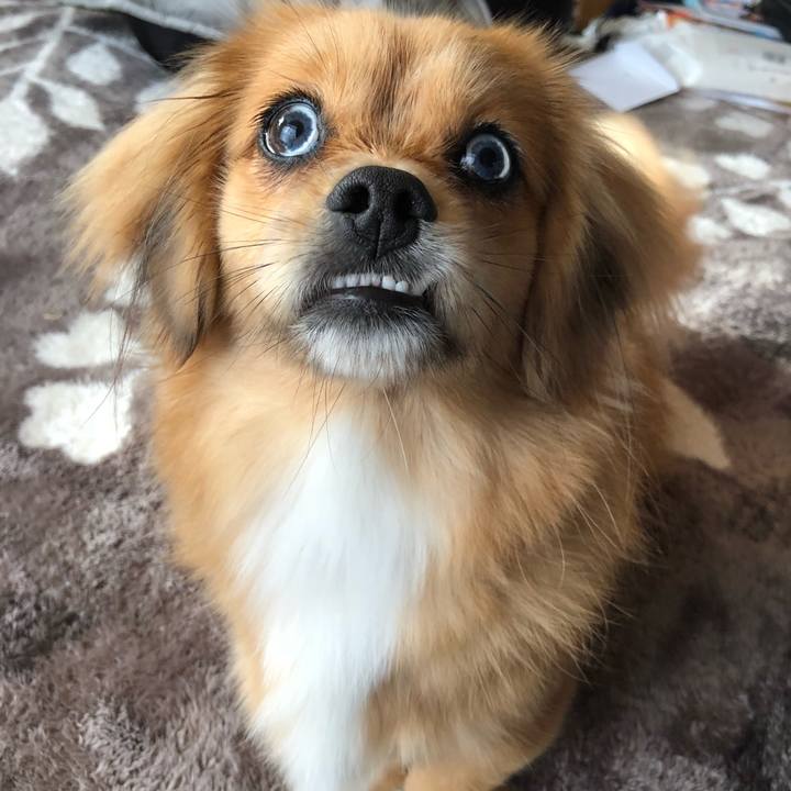 66b92b3e bd0a 42e4 b097 21fd3edfcdc6 1514521717248