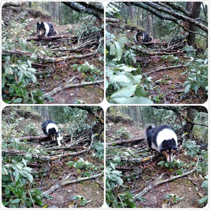 66b9914f 7a2b 434a 9933 54761d757620 1539529854198