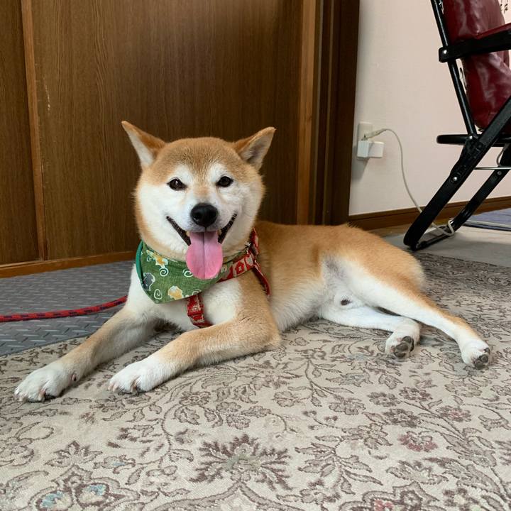 66b991d2 f84d 48cb 8580 ada8d41d4226 1594198889161