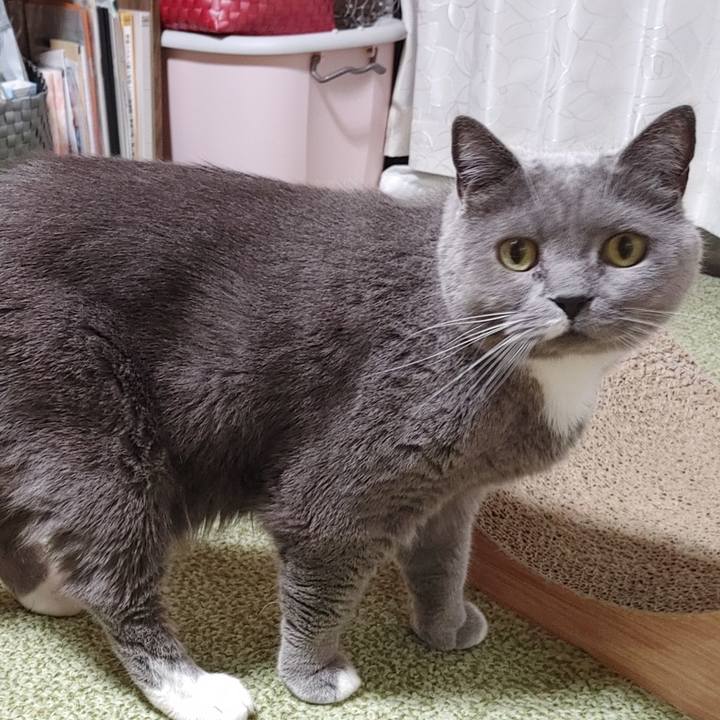 66b996b1 70a2 4157 82c2 3ecb0fc53fb7 1755255981679