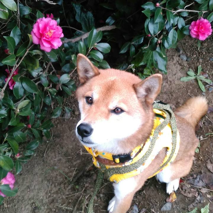 66b99dcc f5f3 47df a4d1 1441b5e0754b 1511136575251