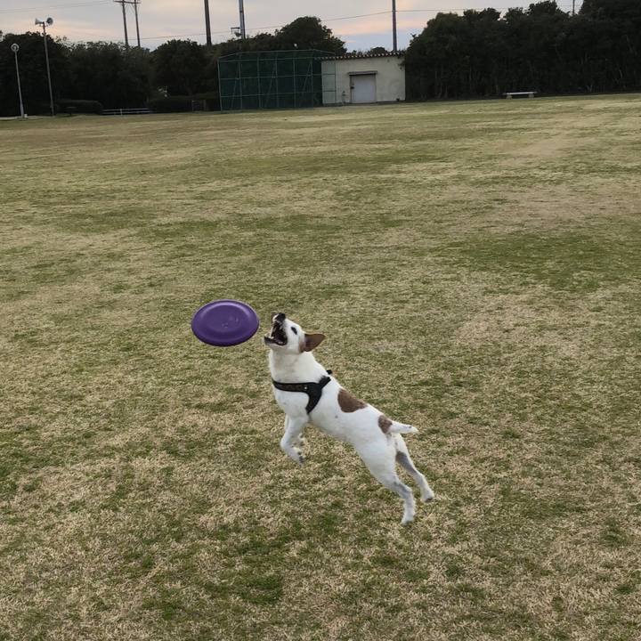 66b9a44f 572c 42ed ab64 94d69b63d16f 1521364622654