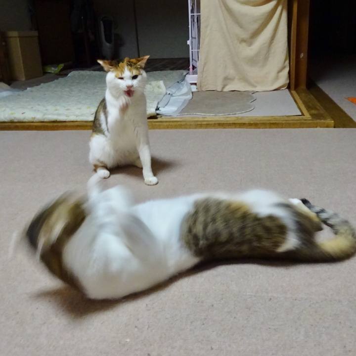 66b9d1a2 d0b1 4ed3 a63f c3f11355ead6 1518837652932