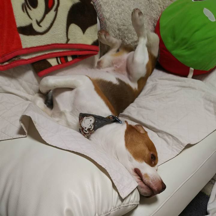 66b9ef7e b8d2 4349 a19b 0532c323a141 1566515095052