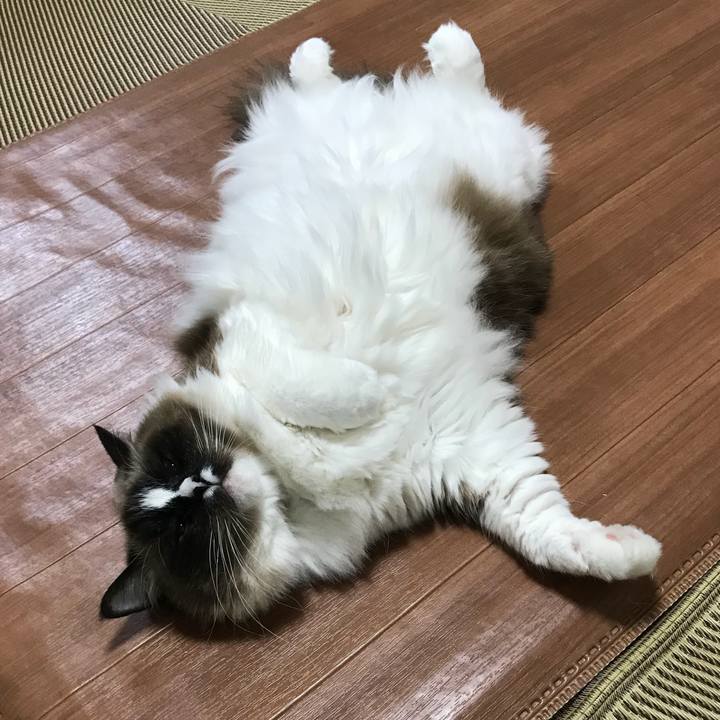 66b9fa80 f1e0 49af 8555 afa595f1f54e 1515761727320