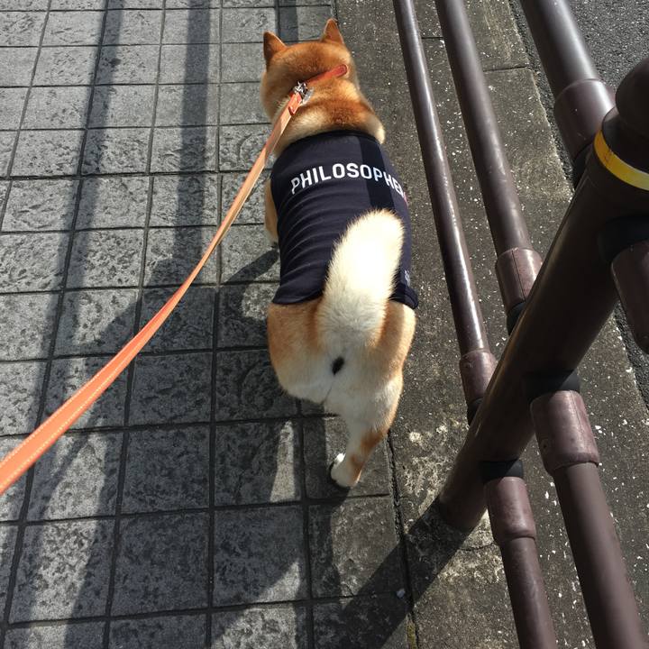 66ba17b9 29cf 4045 8da7 f1bbf0d053fb 1565829159353