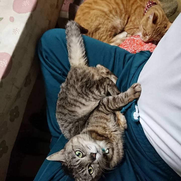 66ba1968 a8df 4875 98df 49618fd14c66 1560944484900