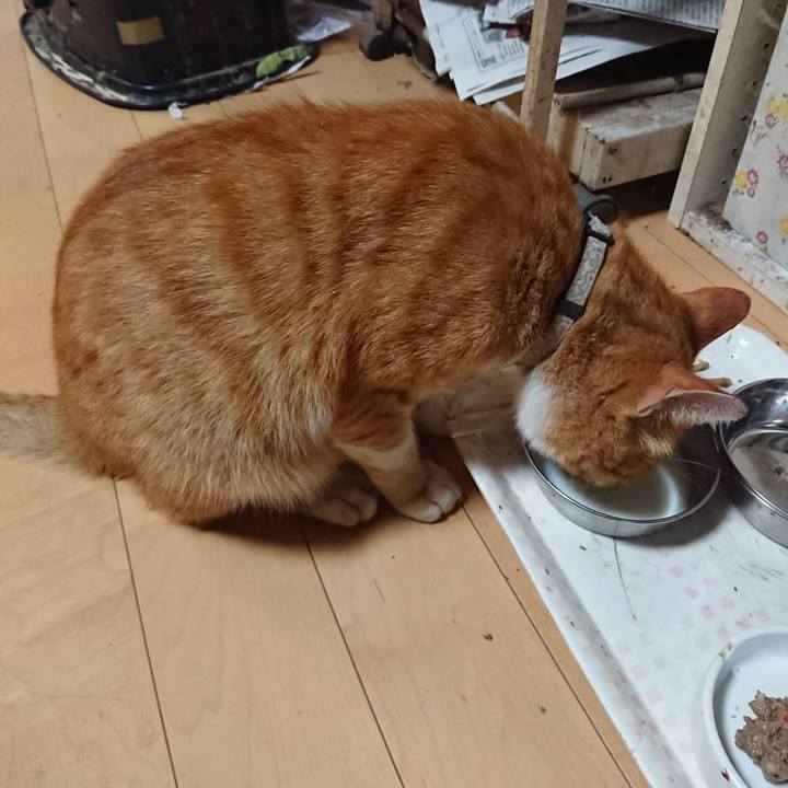 66ba1e0f c91c 40dd b7b6 f5c54cb10ad6 1597146639468