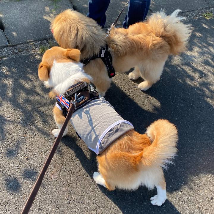 66ba4301 9c34 43f3 bbaf 385d6948d20b 1627824246573