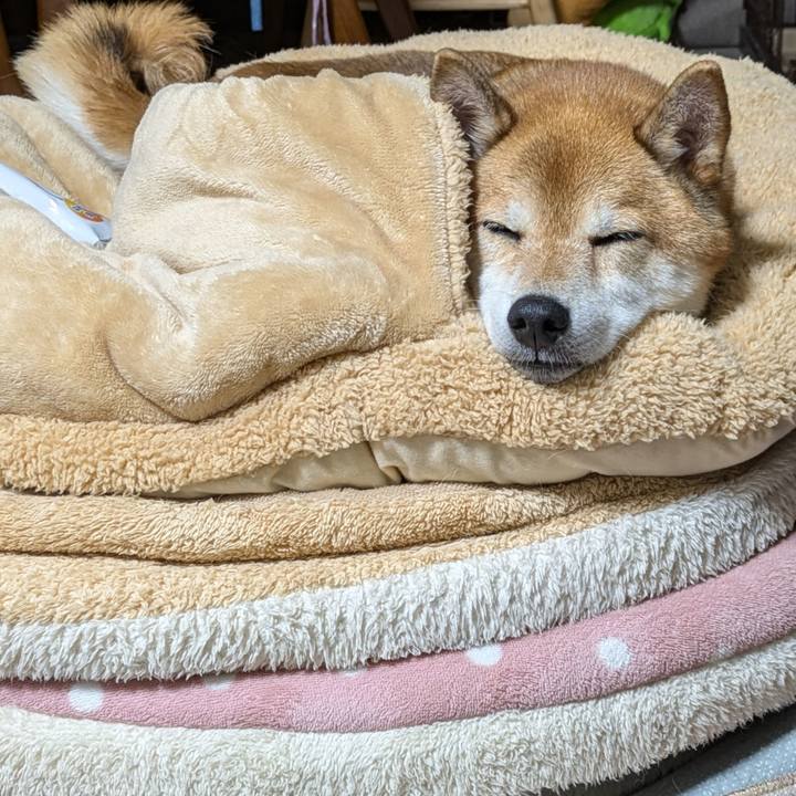 66bacd34 7b74 4908 9771 645846a9d0e2 1722850932159