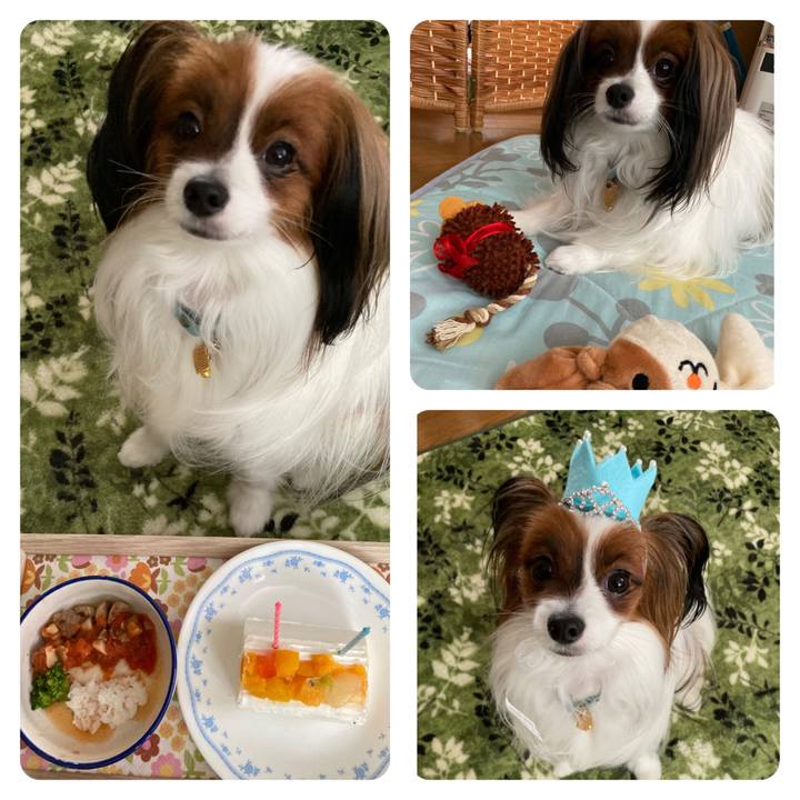 66bad674 2cb3 4c7a 86bb 847ddbf3e77c 1642678641565