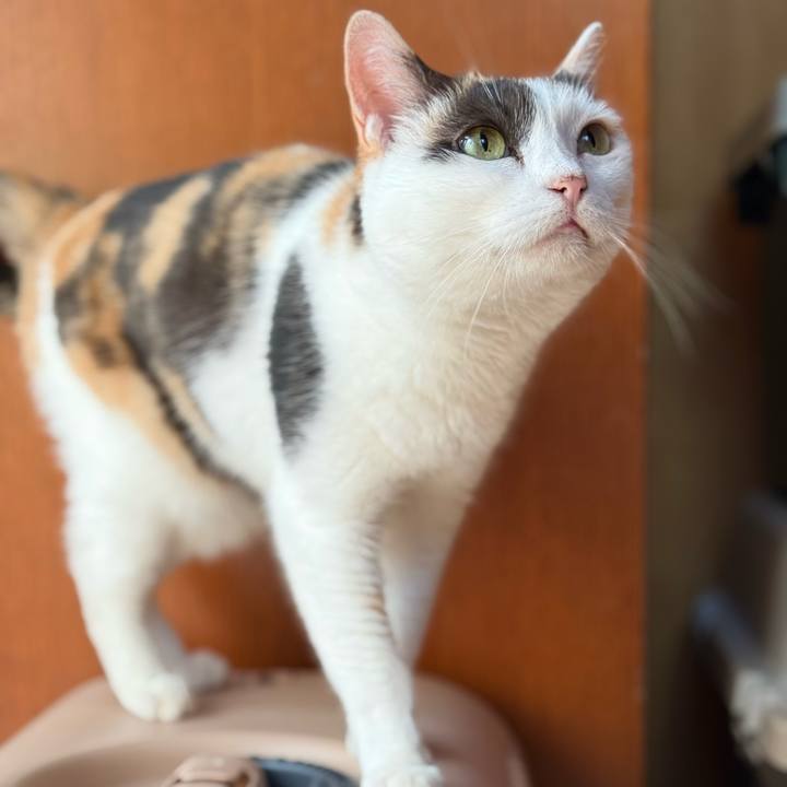 66baf30e 6e6c 429f 9f52 d65649744776 1754461619216