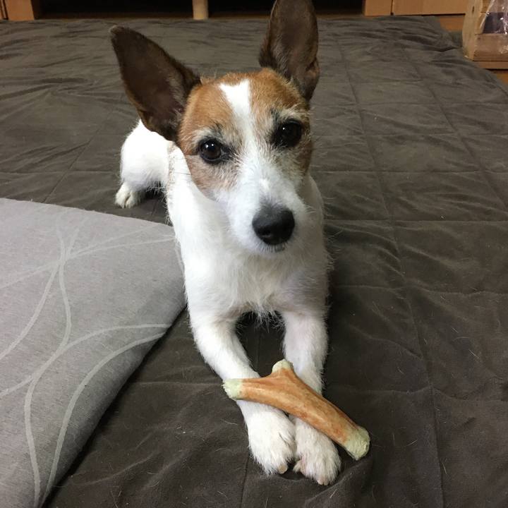 66bb1ab0 0d18 4309 9080 1efbfe8f9d2e 1575257730289