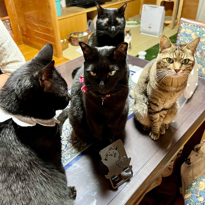 66bb34b1 0eb0 4737 8879 0359ec742ef3 1713532110743