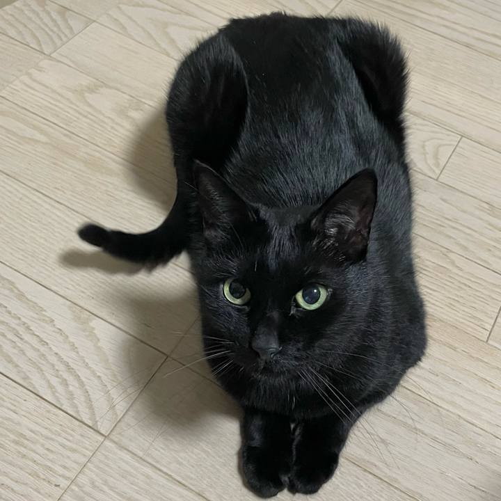 66bb5b1b 3c1c 445a b45b c1ea6f9964de 1672660894317