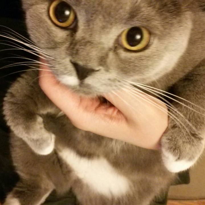 66bb5dd6 2237 43de 8141 ae0c22f9c0b5 1554807464024