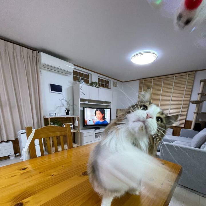 66bb6b79 7afd 4e39 9621 893bfc594a65 1671351267779