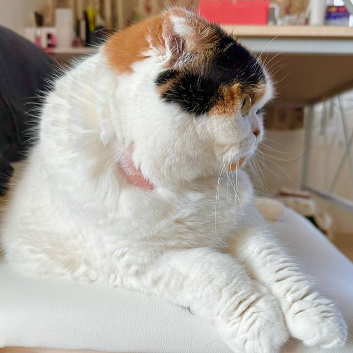 66bb7b73 5ef5 4868 85ef 53023d5b91fa 1711234339616