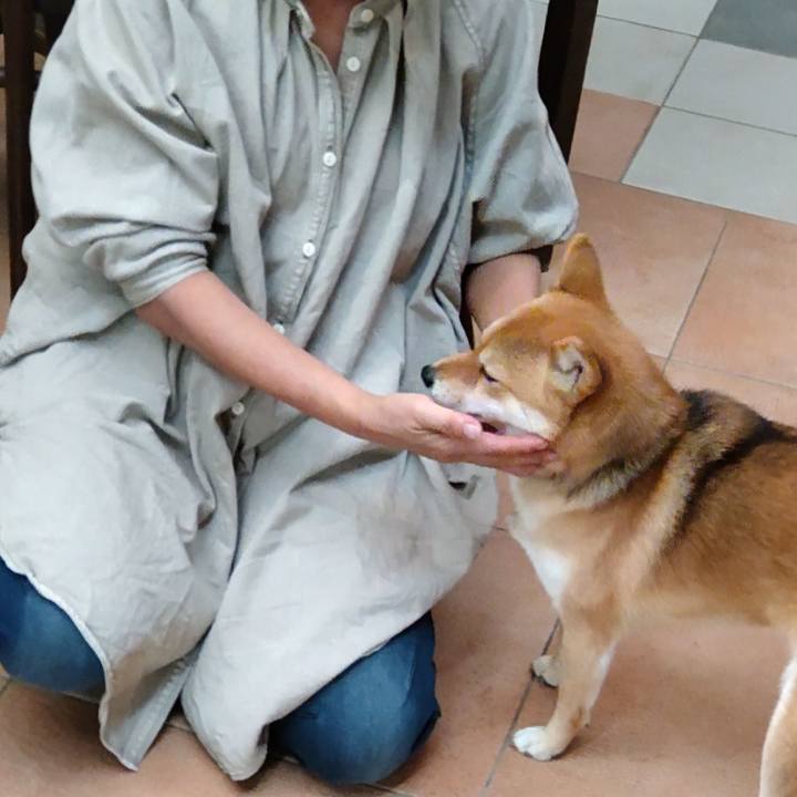 66bbca76 d931 4a5a 9e21 14aa7df24772 1637573964553