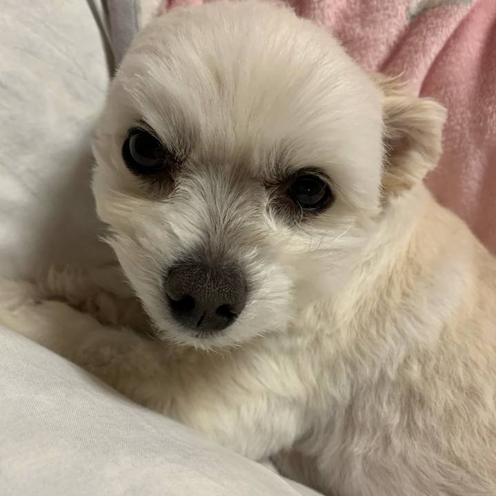 66bc0ffc 04da 451c be85 6d10defe29fc 1583837785151