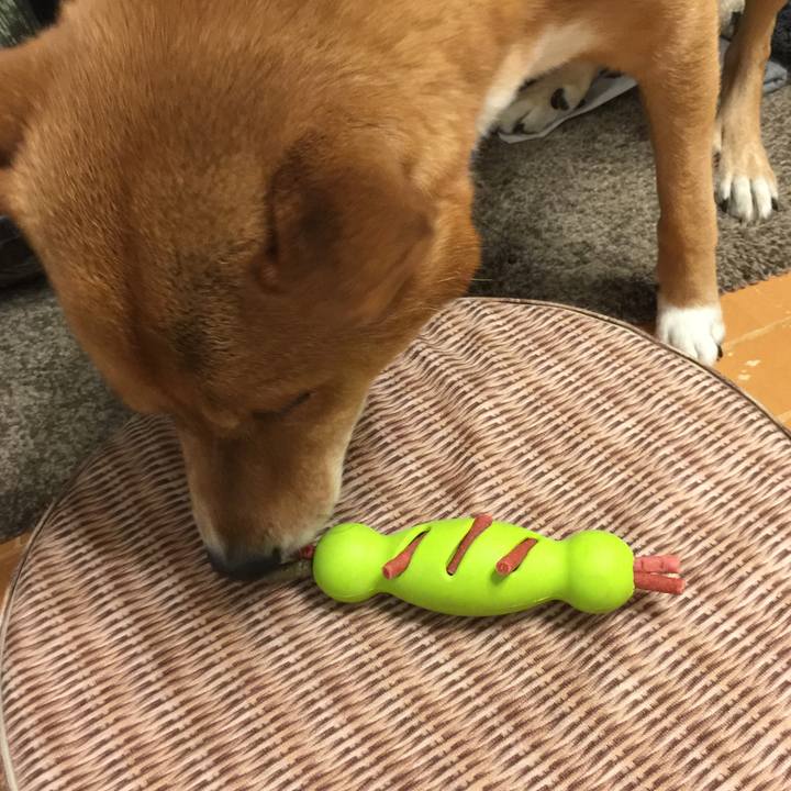 66bc151f ca50 4616 83fb 085200a2bc7b 1607766165152