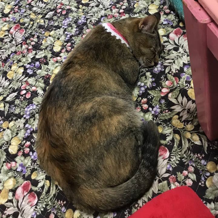 66bc1737 e54e 465a 916b 4b44848add8a 1593056890554