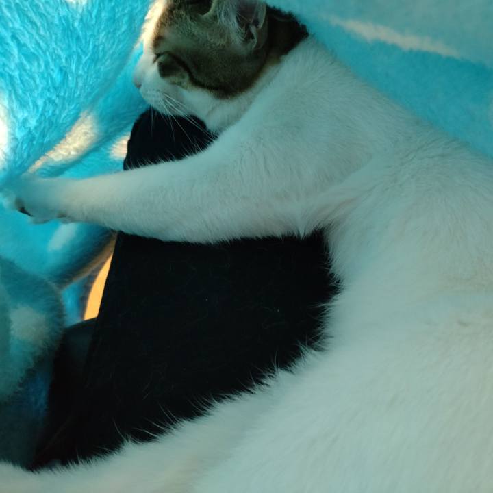 66bc2c76 aaf8 4bdd bb31 c9709b748a0a 1651623487128