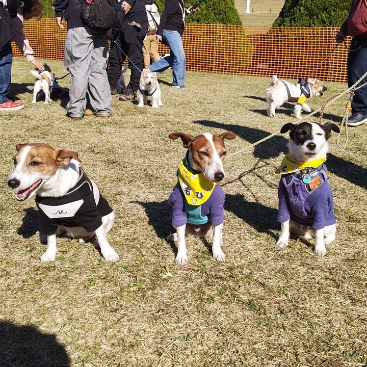 66bc3a85 ebe0 45d2 aed5 bda4aead7845 1733051374758