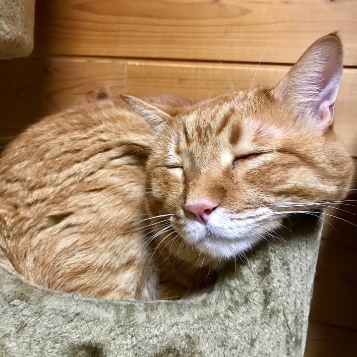 66bc51a2 13ee 464e 84ce ced9b0e9f4e6 1537090200867