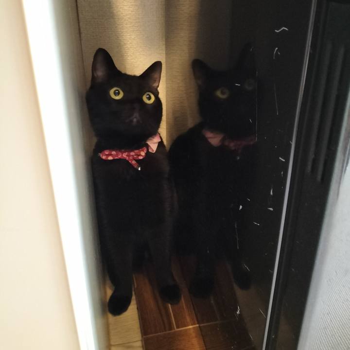 66bc55e4 5d1d 46b8 9b9f 32f134126af5 1633824172439