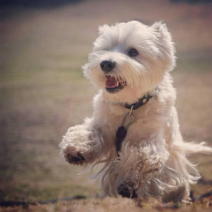 66bc6152 d250 4cf2 a10f 8078d7b0a775 1520342447533