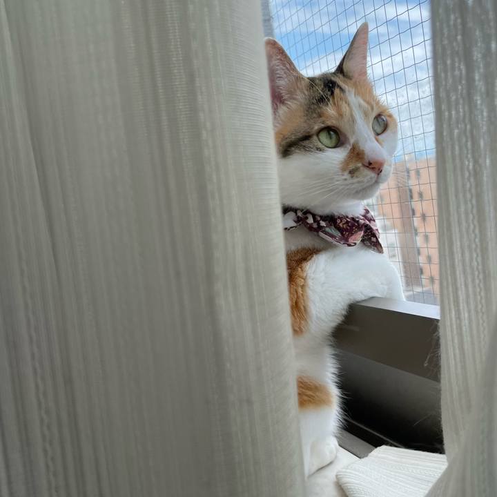 66bc6f19 6e98 40e3 89ce b98ddc549229 1748752738130