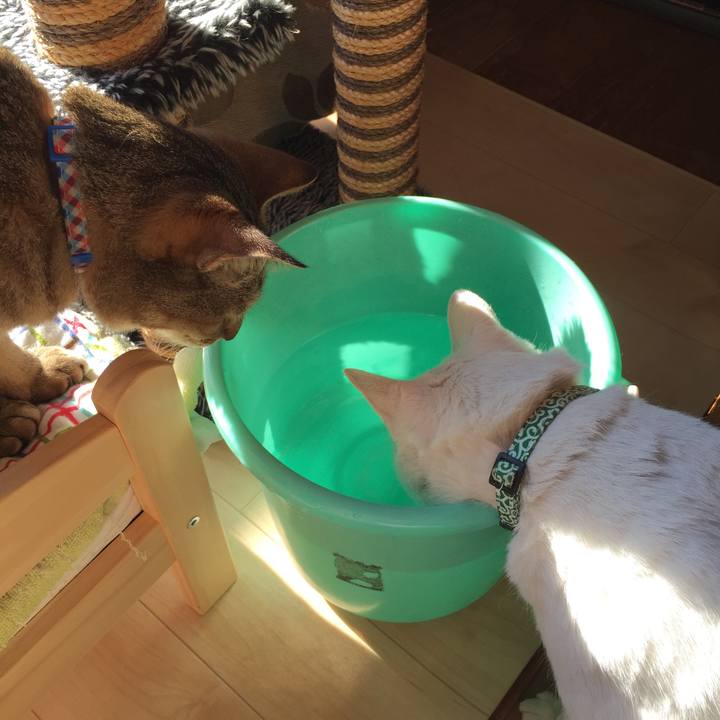 66bc8c4a bbf5 42e5 a66d b83693afe337 1550362153120