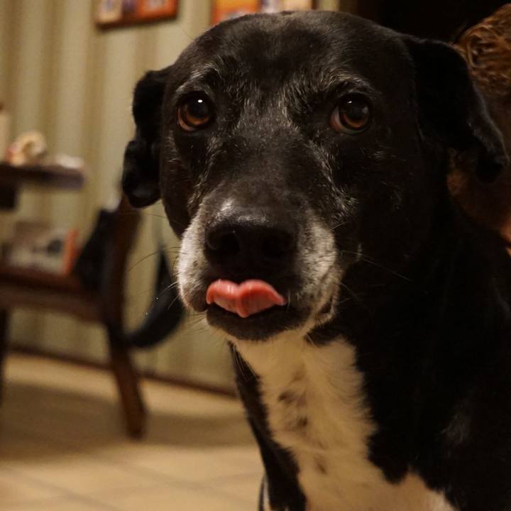 66bca84c 59e4 4f95 844d f9c07d382c6d 1759835573951