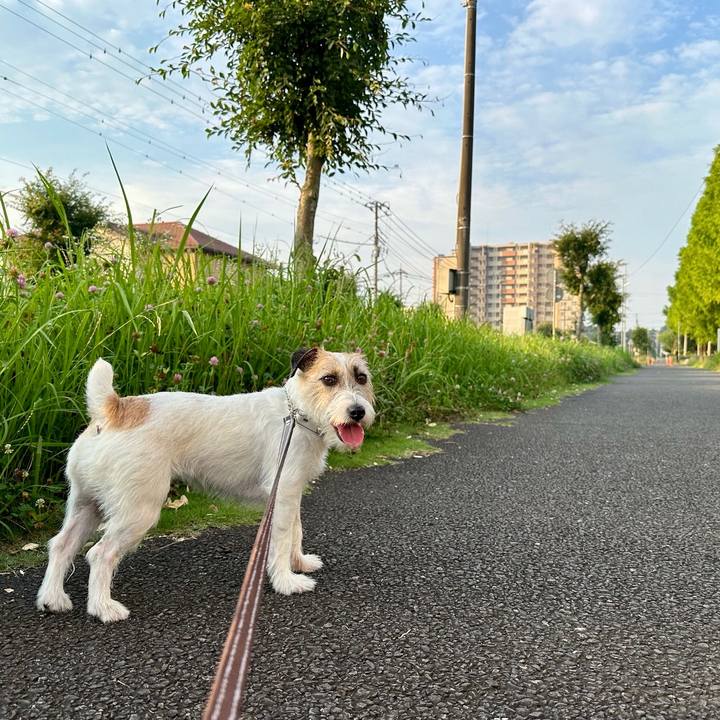 66bcb85b 5139 467a 9fdb 887a869108e2 1720395614176