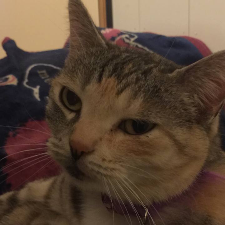 66bccb75 e4f6 423f bc7a 3b9acacc5717 1552577121573