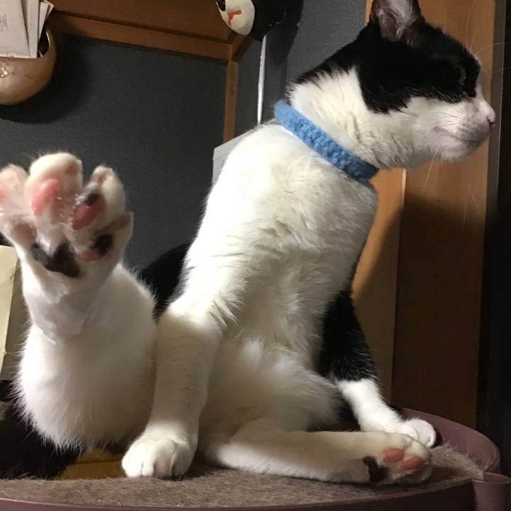 66bcdfe8 e951 4b88 9b47 e1789cf33966 1747131158707