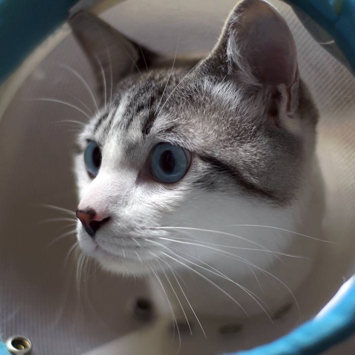 66bd5b81 1eba 46ec 879c 729a8f3406bd 1617496714762