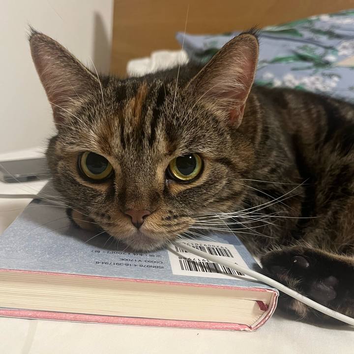 66bd63fb b886 45ab ac95 dbfac4b70c54 1734788709900