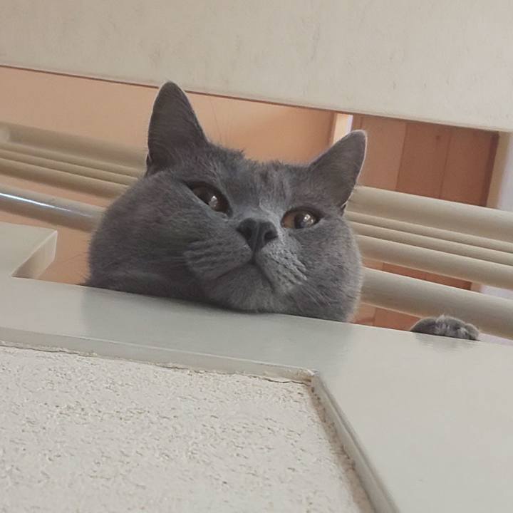 66bd8dff 2d82 450f 92c4 fb636db50c7b 1539141249878