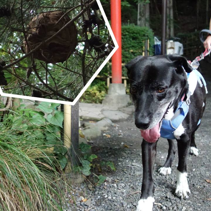 66bd97c6 6d0e 4c42 9077 e715448f0678 1722213071028