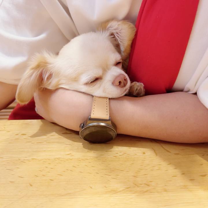 66bda955 9d45 43d9 8596 9e5721376828 1698229288623