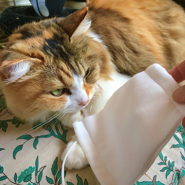 66bdaaa3 8589 4a65 b8e0 636028d15a49 1589686628950